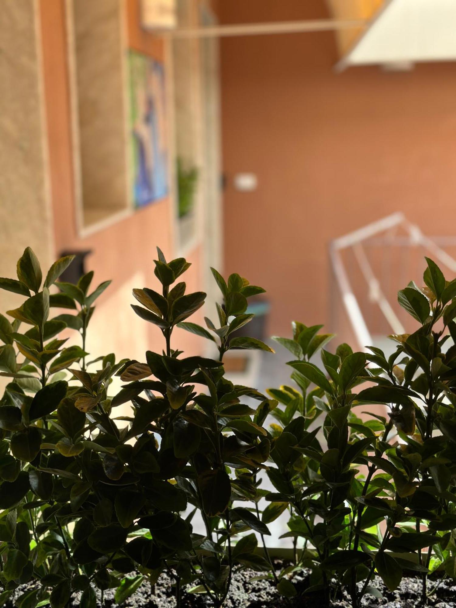 Le Camere Luxury Rooms Siracusa Syrakusa Exteriör bild